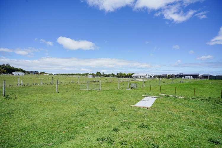 20 Bonnies Chance Seaward Bush_35