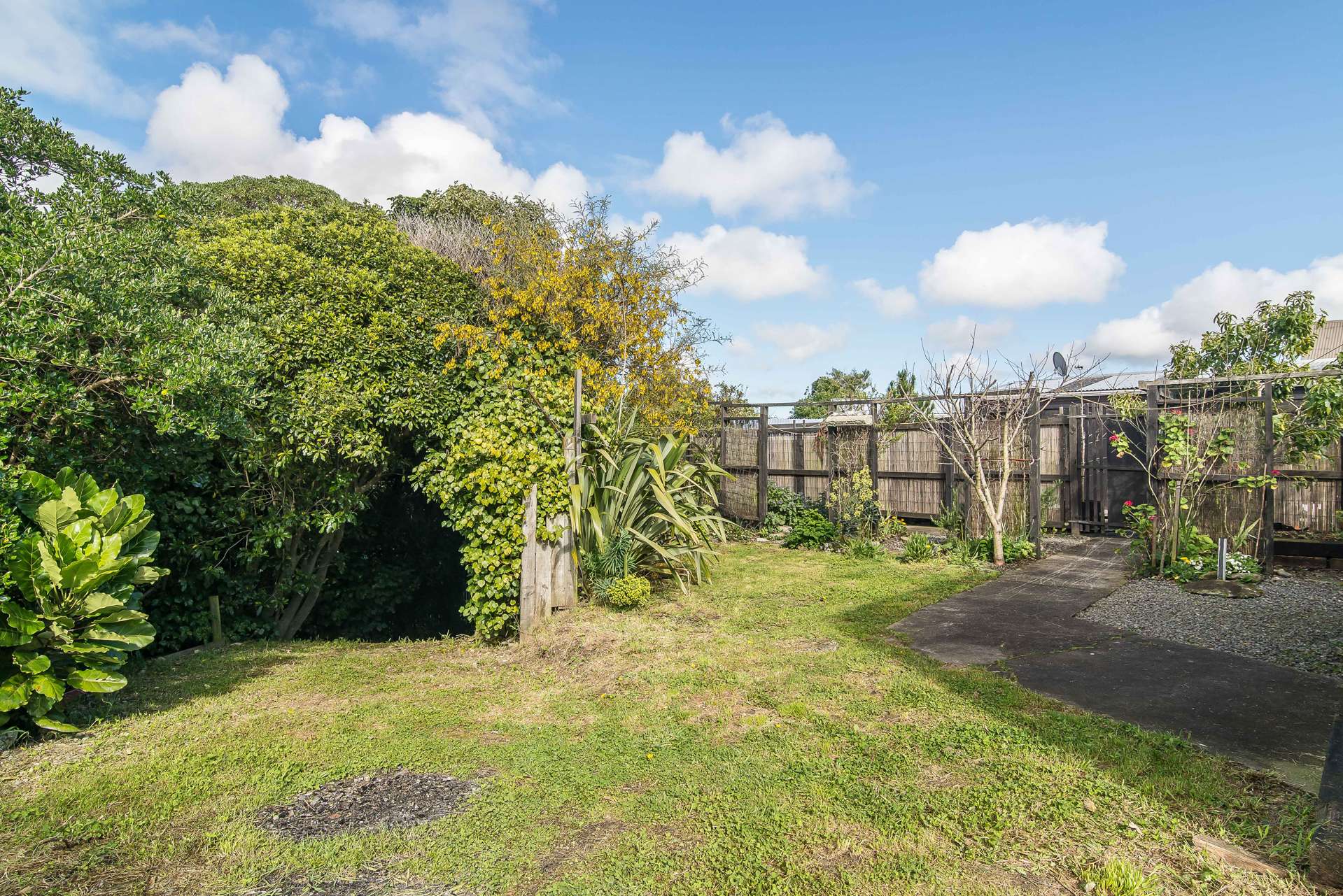 16 Elizabeth Street Waikanae_0