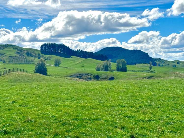 Lot Lots 1&2 Taihape Road Sherenden_6