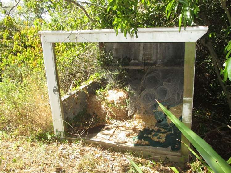 16 Cracroft Terrace Cashmere_19