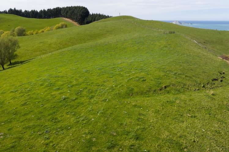 Lot 1 Waimarama Road Waimarama_7