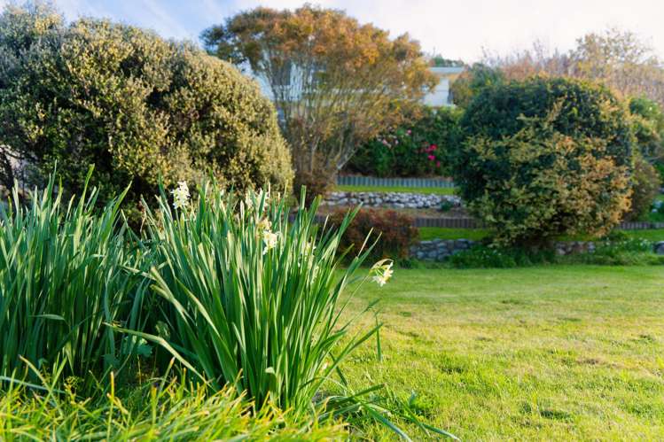 282 Scarborough Street Kaikoura Peninsula_23