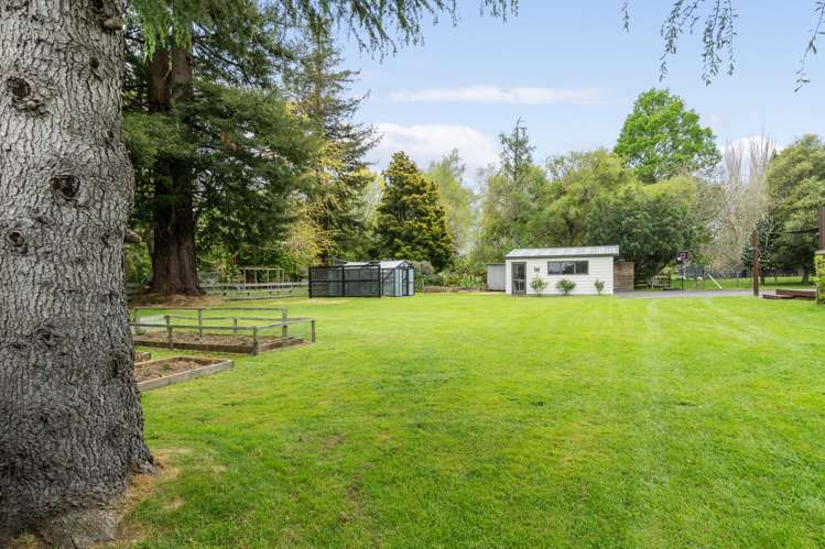9 Fitzroy Place Tikitere_34