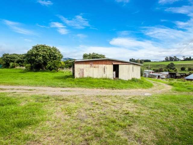 62 Grant Road Opotiki and Surrounds_4