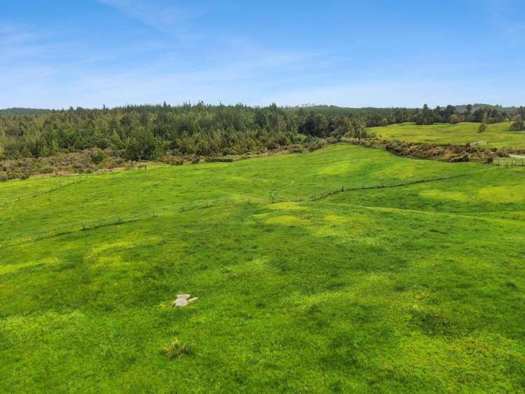 Lot 1 DP3404 Woodstock-Rimu Road Ruatapu_9