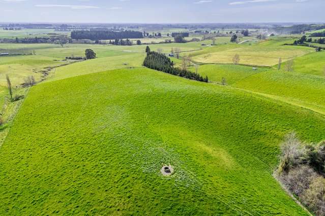 538 Pleasant Valley Road Geraldine Downs_4