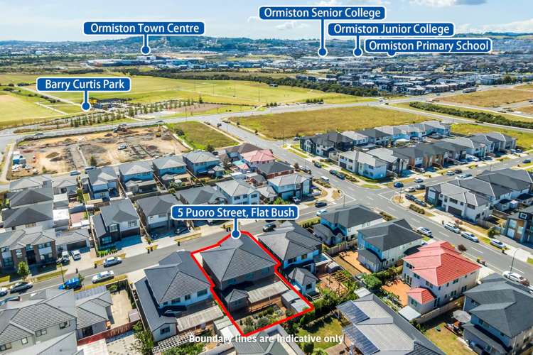 5 Puoro Street Flat Bush_25