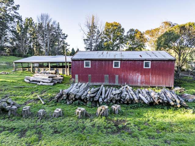 142 Pohokura Road (subdivision of) Tutira_2