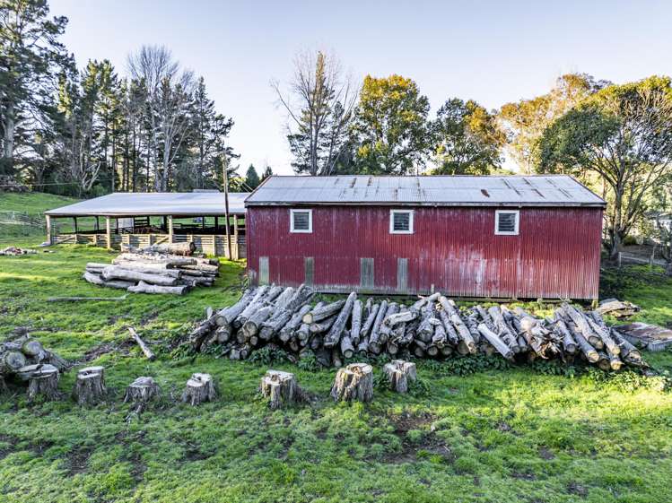 142 Pohokura Road (subdivision of)_2