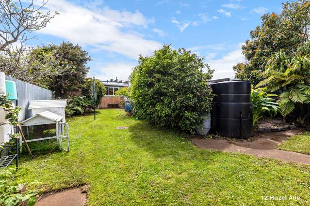 12 Hazel Avenue Mount Roskill_4