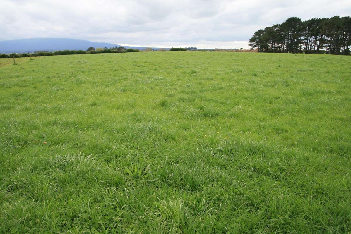 297 Mangawhero Road_4