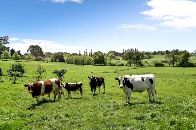 3323 Ohaupo Road Rukuhia_1