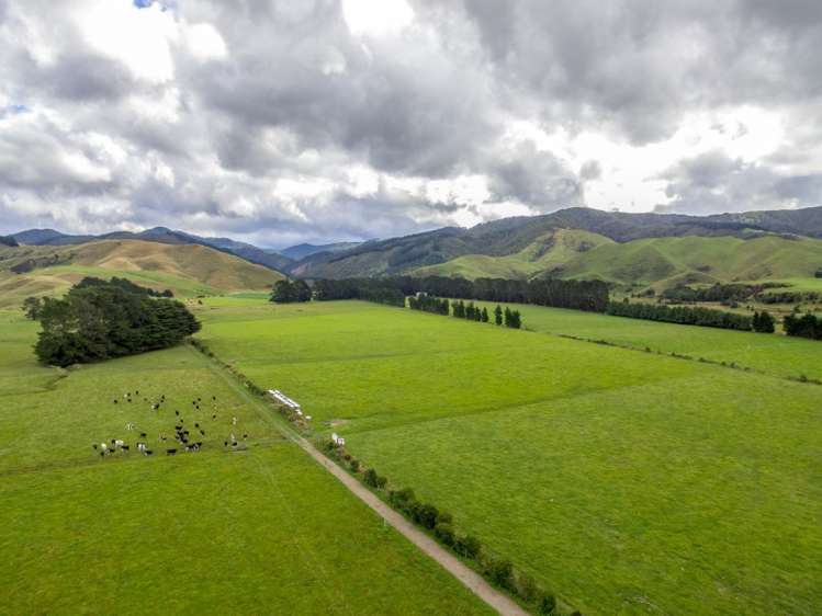 85274 State Highway 2 Eketahuna_11