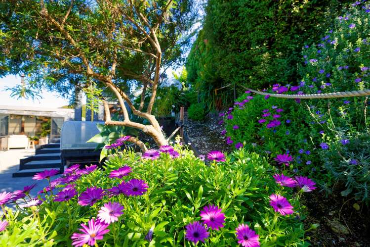 84b Churchill Street Kaikoura_77