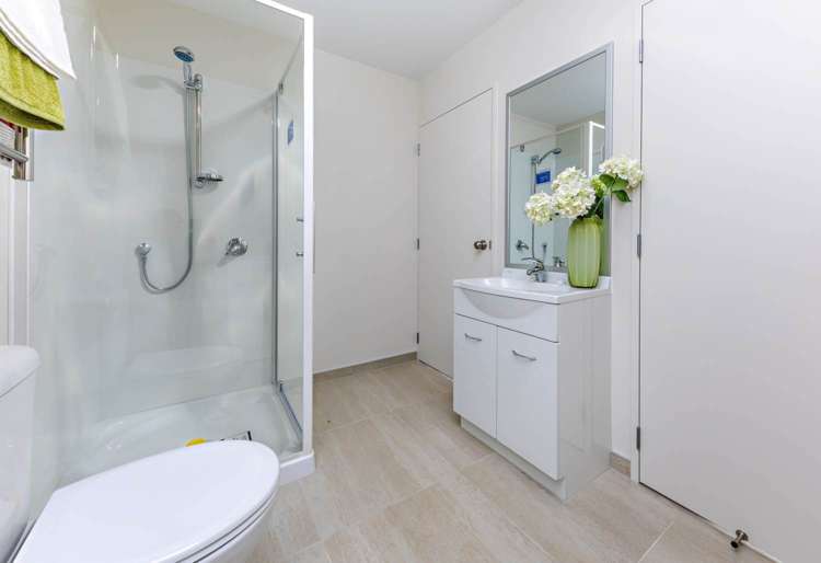 49 Divide Loop Takanini_9