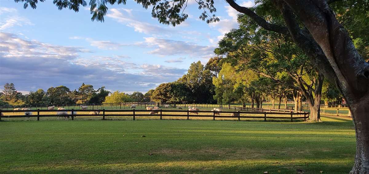 761 Great South Road_5