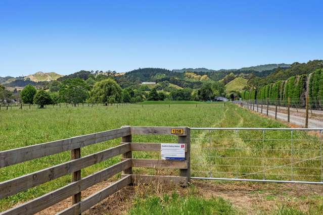 125B Paul Road Whakatane_4