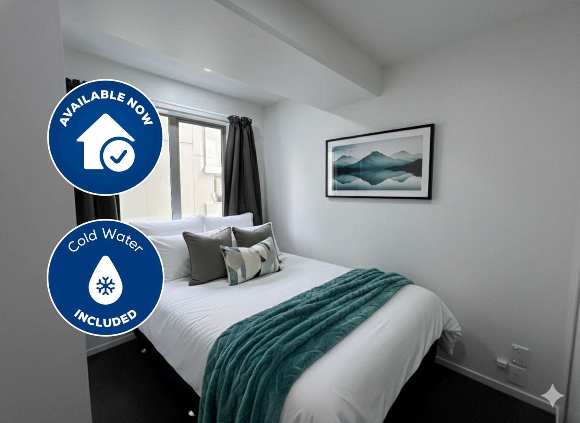 1F/113 Vincent Street City Centre_0