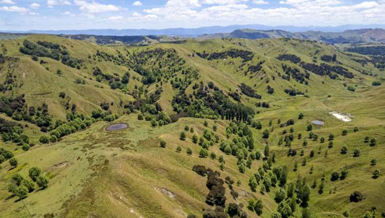 411 Cannock Road Hinakura_16