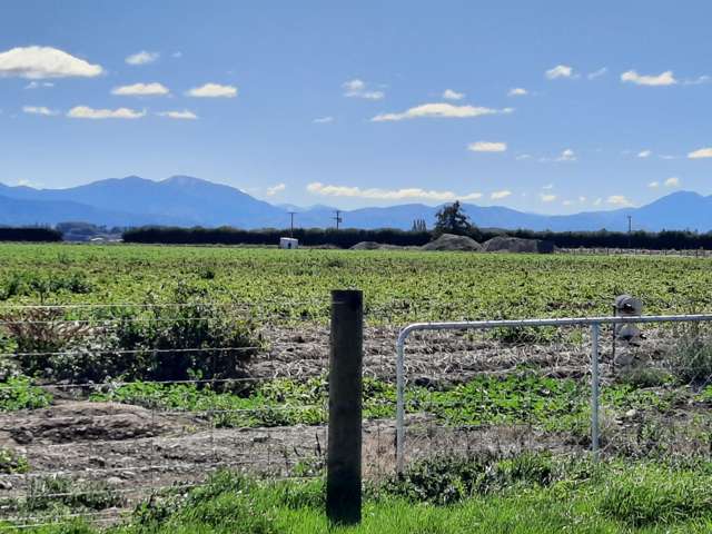 559 Timaru - Temuka Highway Levels_3