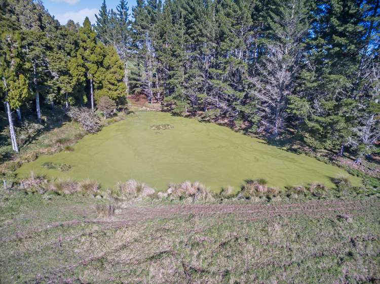 345 Wayby Station Road Wellsford_18