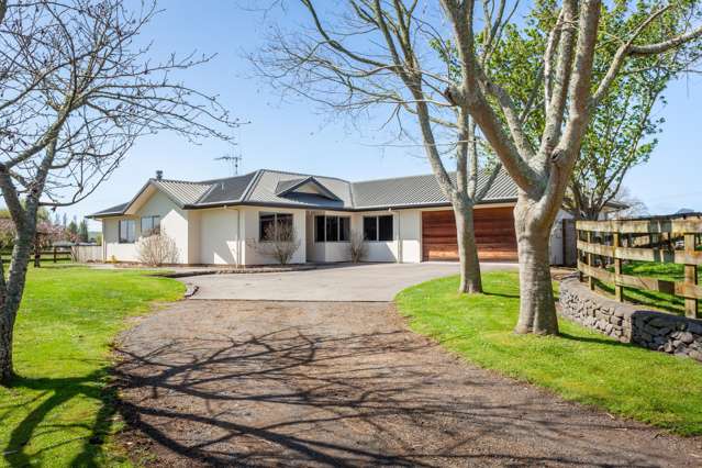 847 Tauwhare Road Tauwhare_3