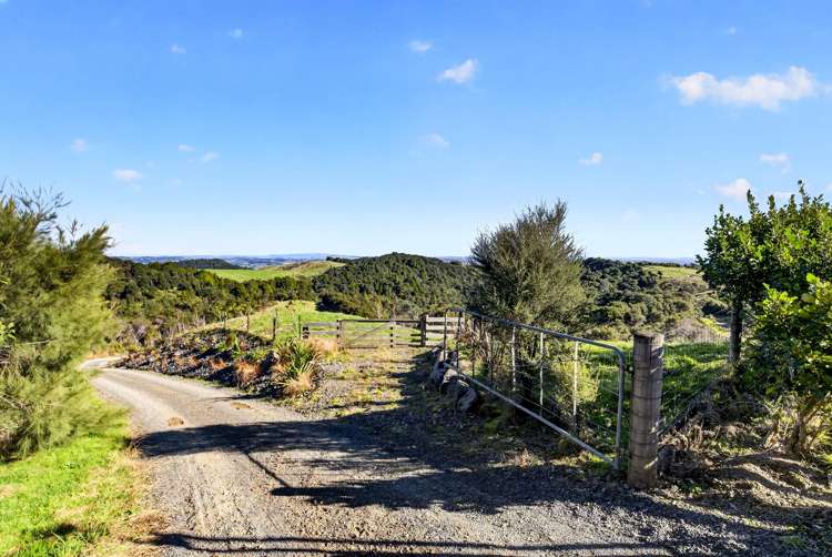 115 Sonja Drive Hunua_6