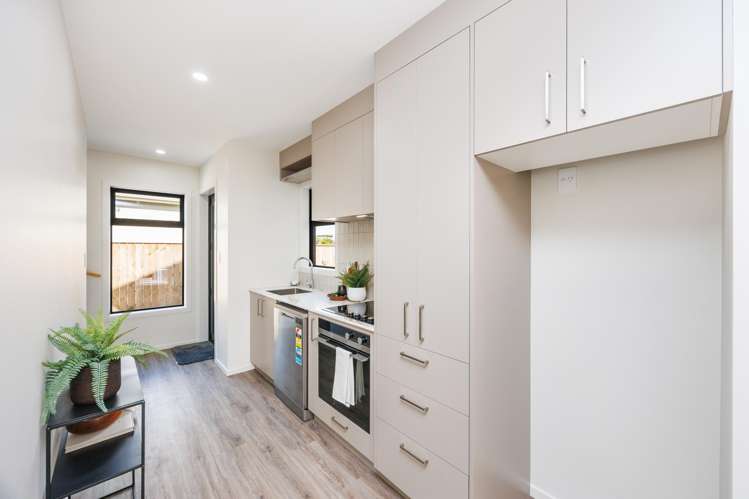 43 Bourke Street Palmerston North City_15
