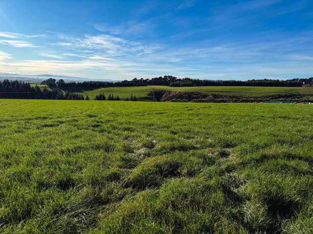 164 Waddle Road Mataura_3
