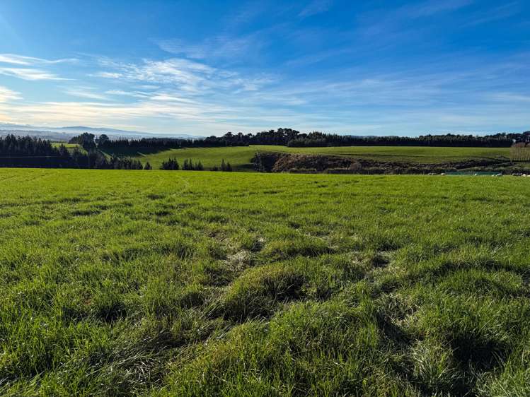 164 Waddle Road Mataura_3
