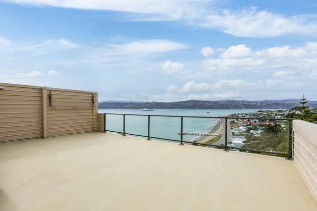 29B Newport Terrace Seatoun_3