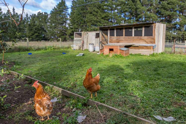 600 Sandy Knolls Road West Melton_13