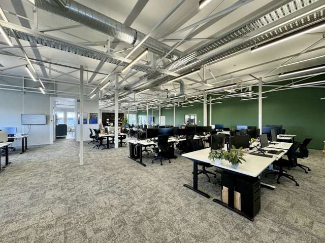 317 New North Road Kingsland_4