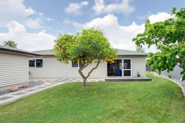 16a Addison Street Onekawa_2