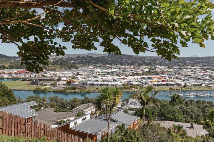 34 Punga Grove Avenue Riverside_8