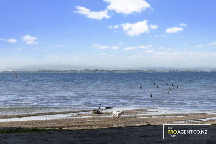 3 Sandys Parade Laingholm_22