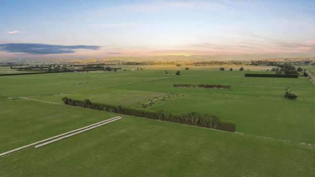 Francis Line Clareville_1