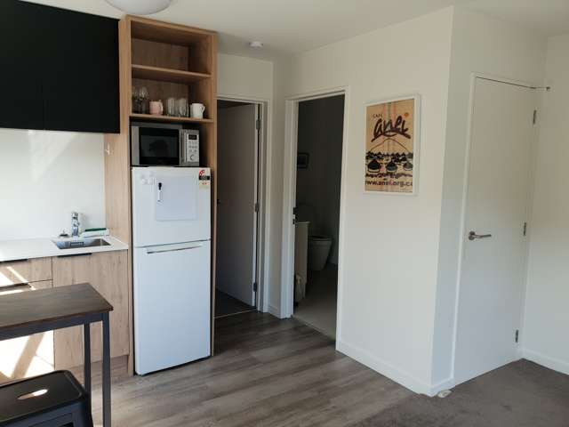 100a Mcbride Street Frankton_4