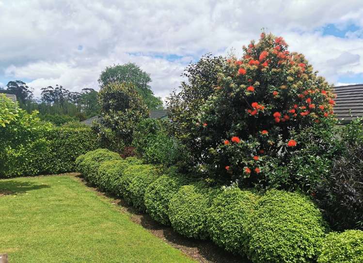 4 Kuching Lane Kerikeri_14