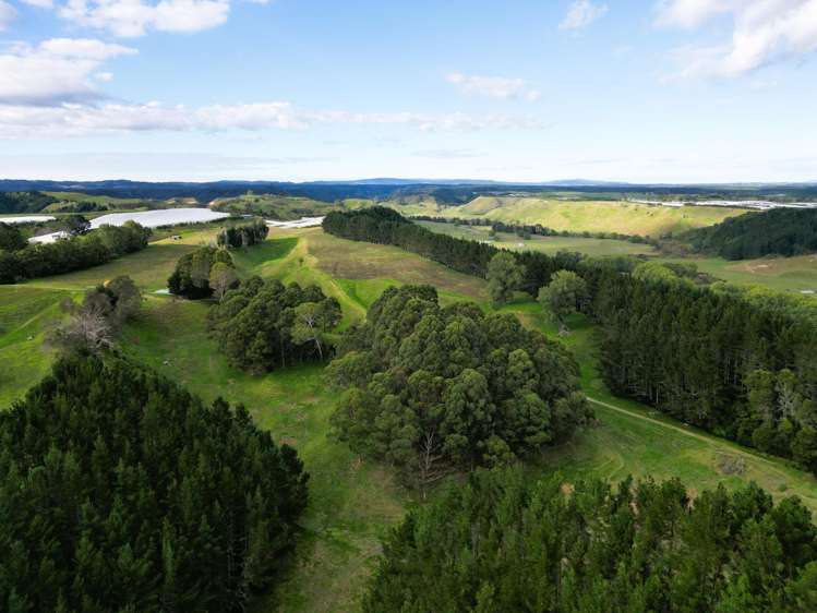 1/461 Otamarakau Valley Road Pukehina_16