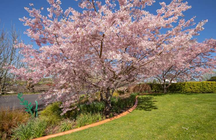 15 Josephine Place Te Kauwhata_42