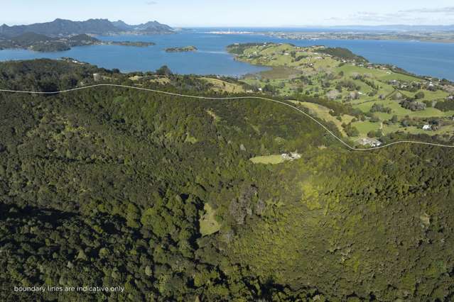 104ha Bush Sanctuary near Whangarei Heads