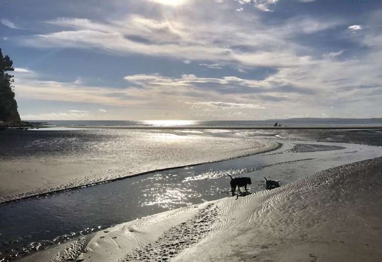 242 Hibiscus Coast Highway Orewa_28