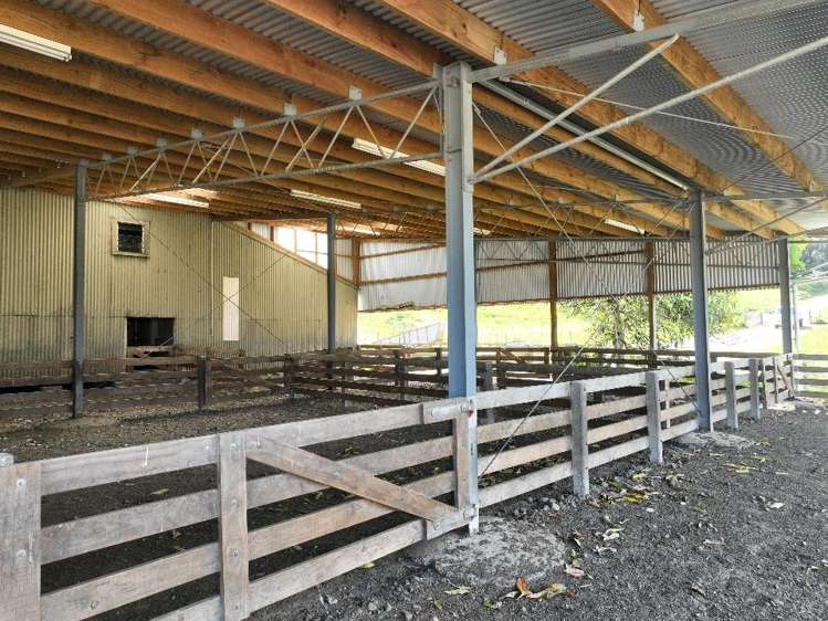 2829 Puketitiri Road Patoka_22