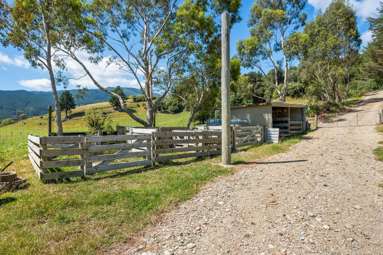 1118 Queen Charlotte Drive_3