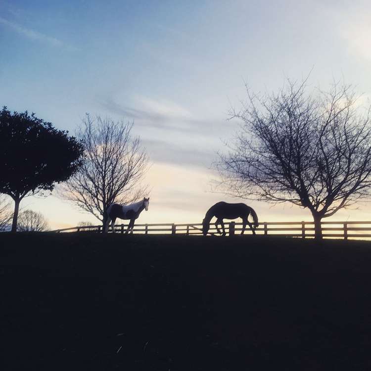 36f Farquharson Road Hunua_23