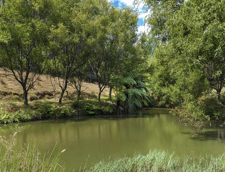 14 Clifford Road Pukekohe_11