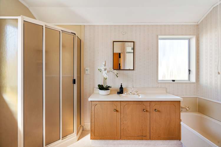 19 Roslyn Road Bluff Hill_15