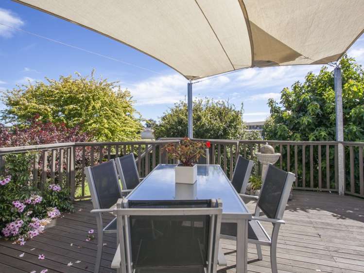 41 Dittmer Drive Awapuni_9