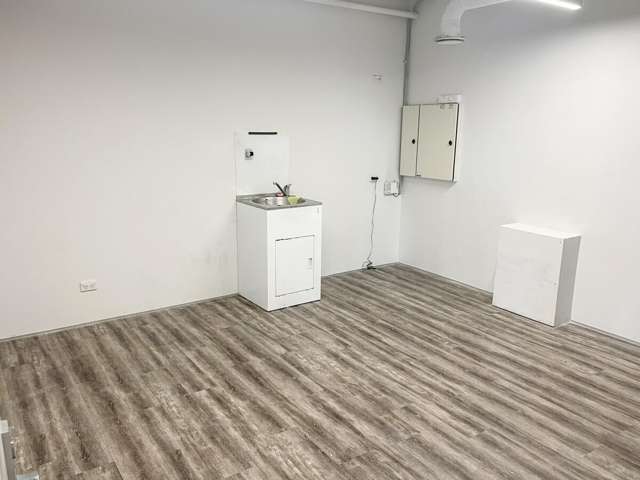 T9 | 4 Williamson Avenue Ponsonby_2